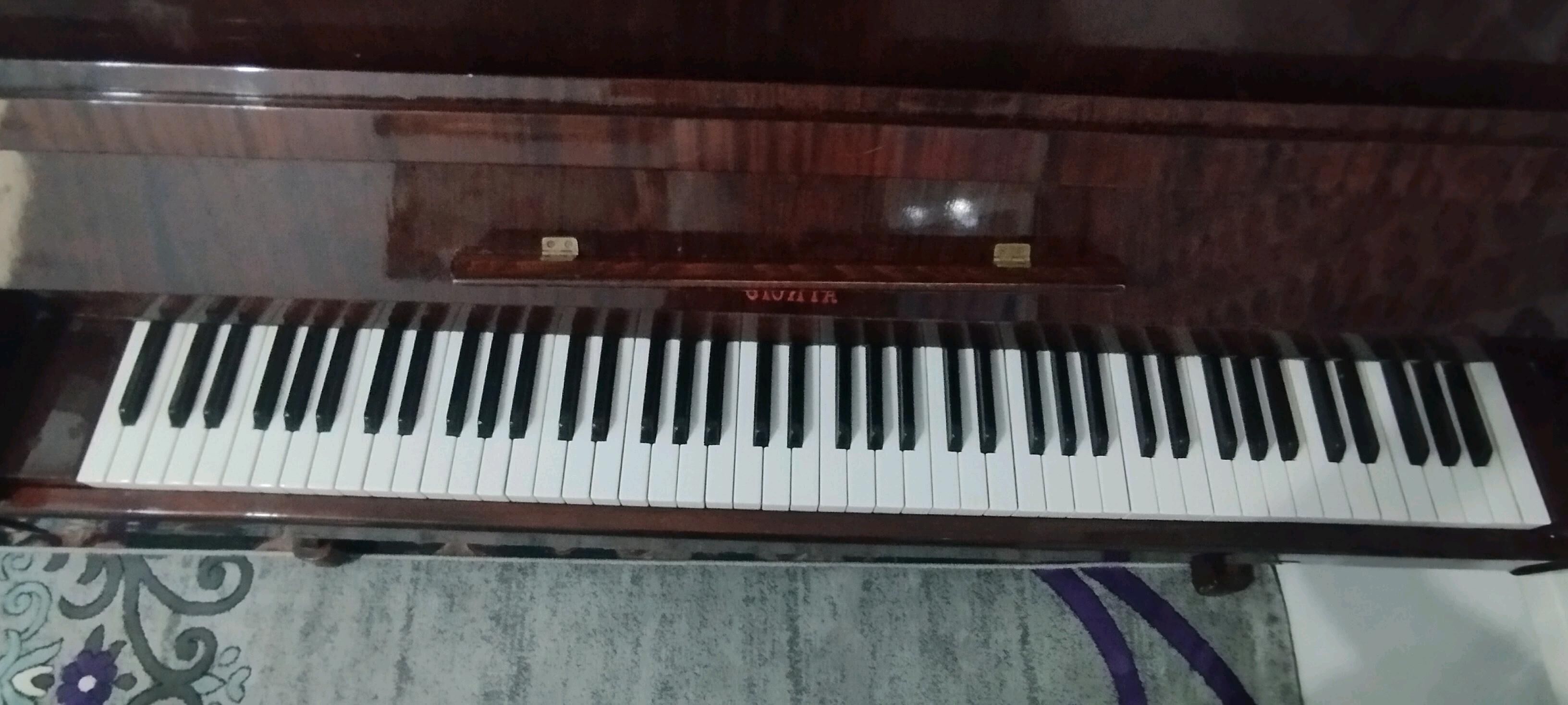pianino - Büzmeýin - img 3