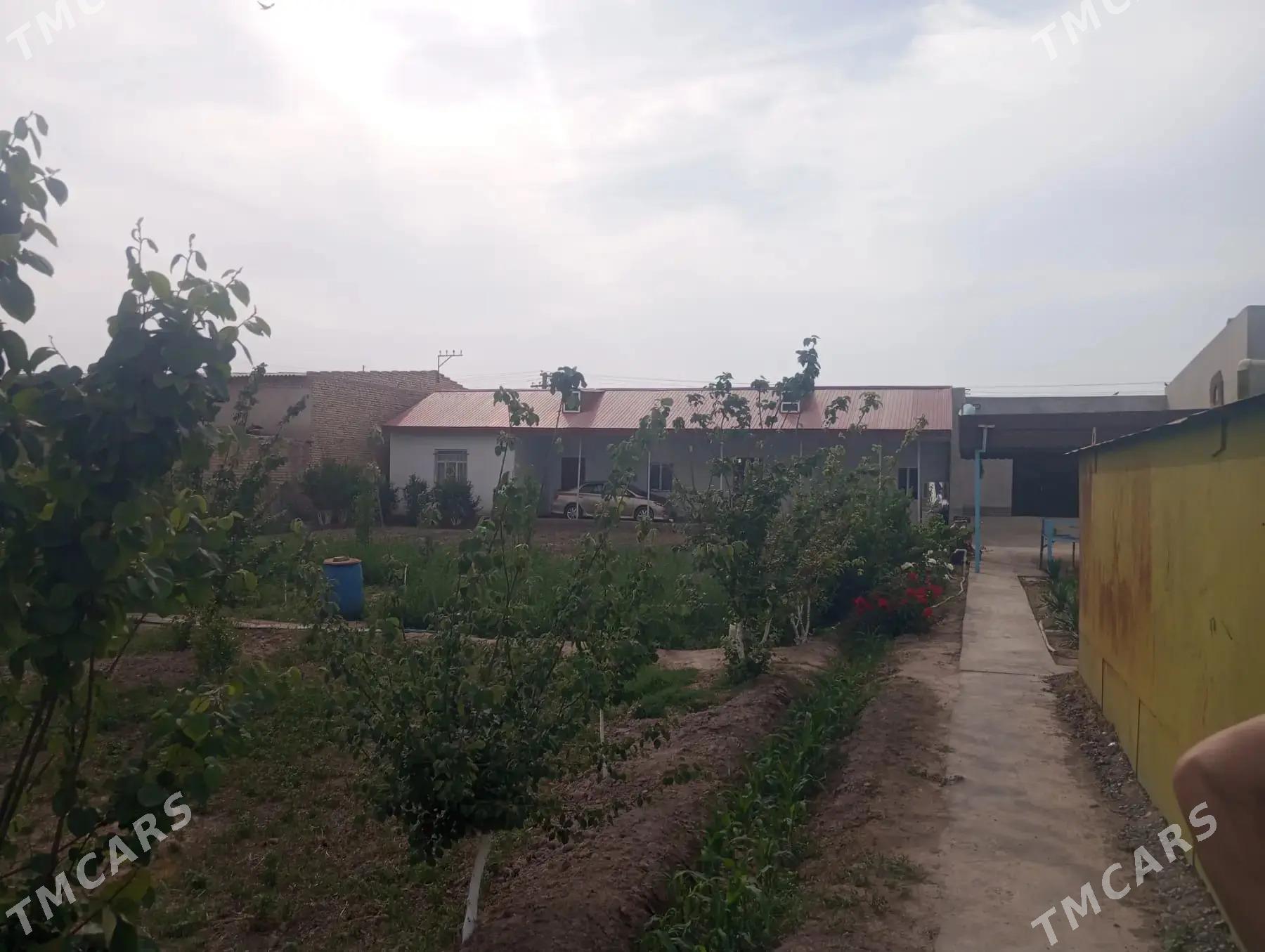 jaý zaton daça - Türkmenabat - img 2