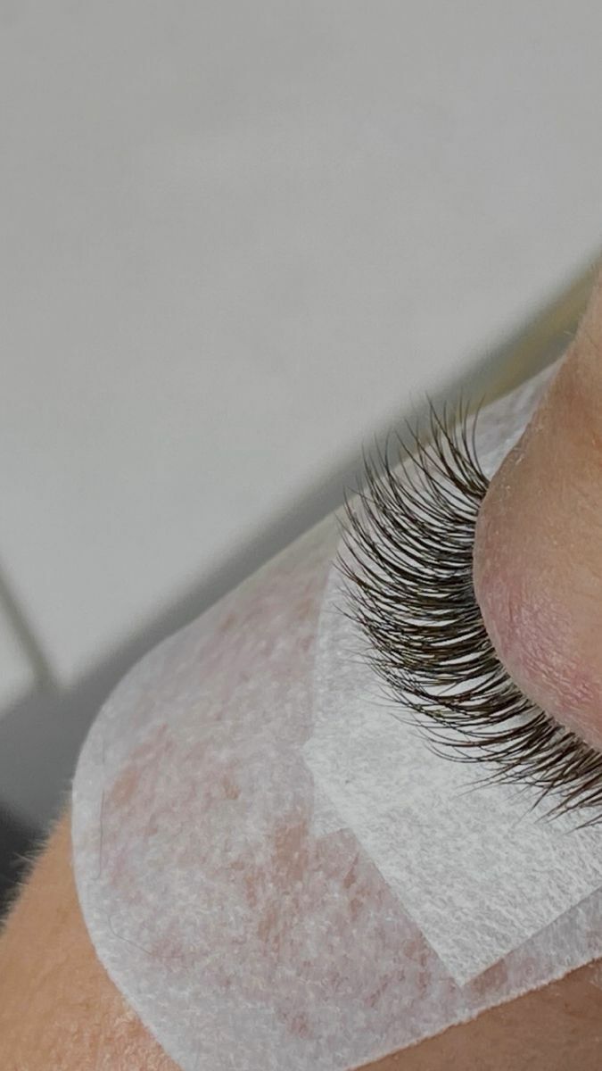 Narasiwaniye kirpik - Büzmeýin - img 8