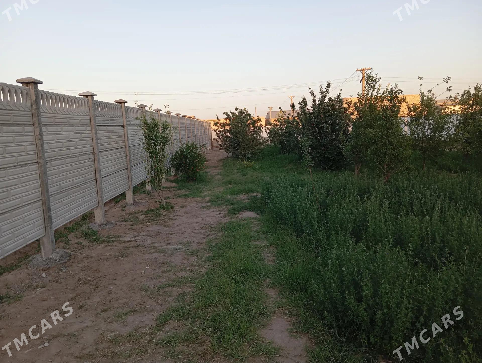 jaý zaton daça - Türkmenabat - img 7