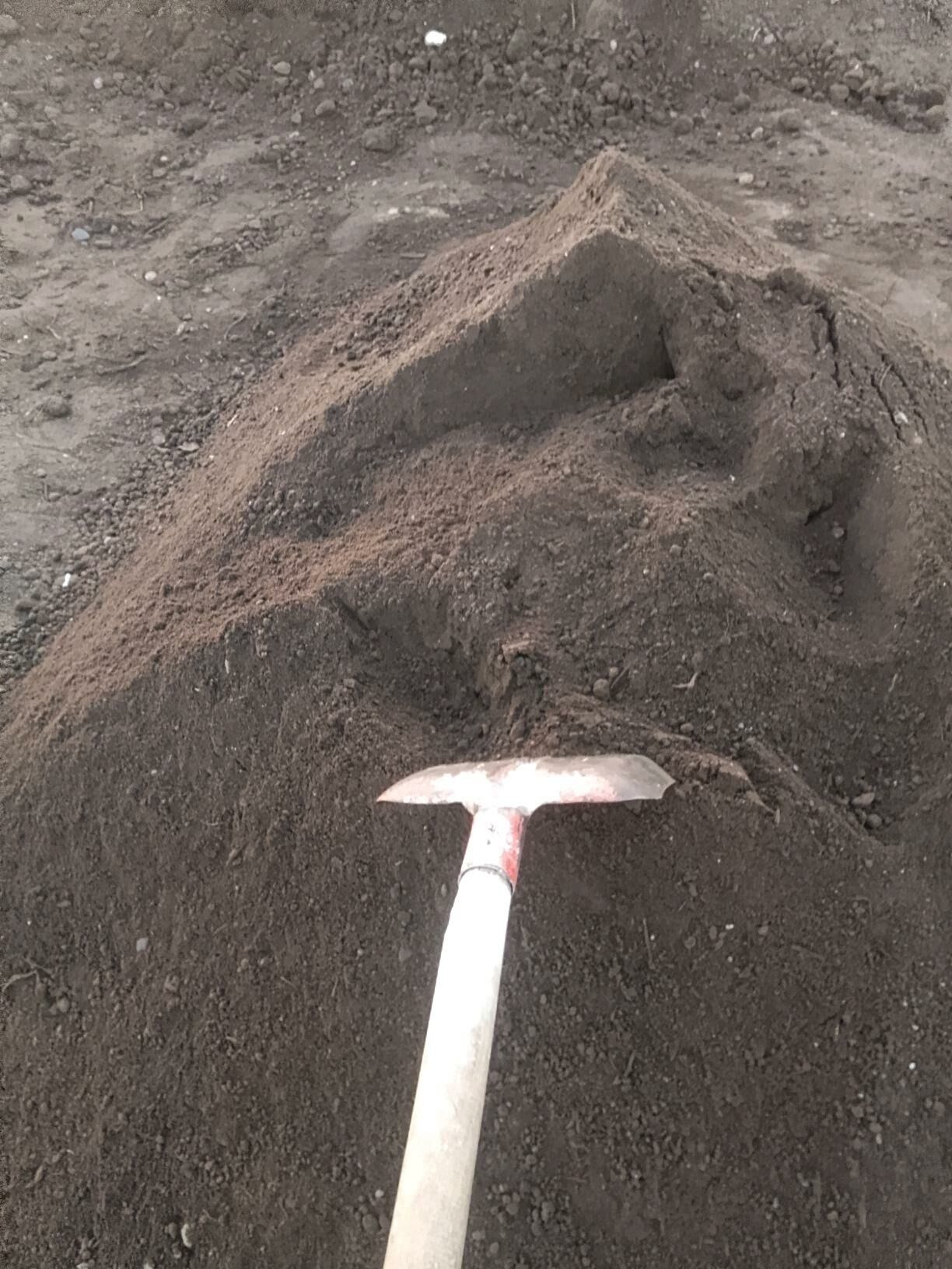 MITI SEMENT DERS KERPIC GUM - Bedew - img 6