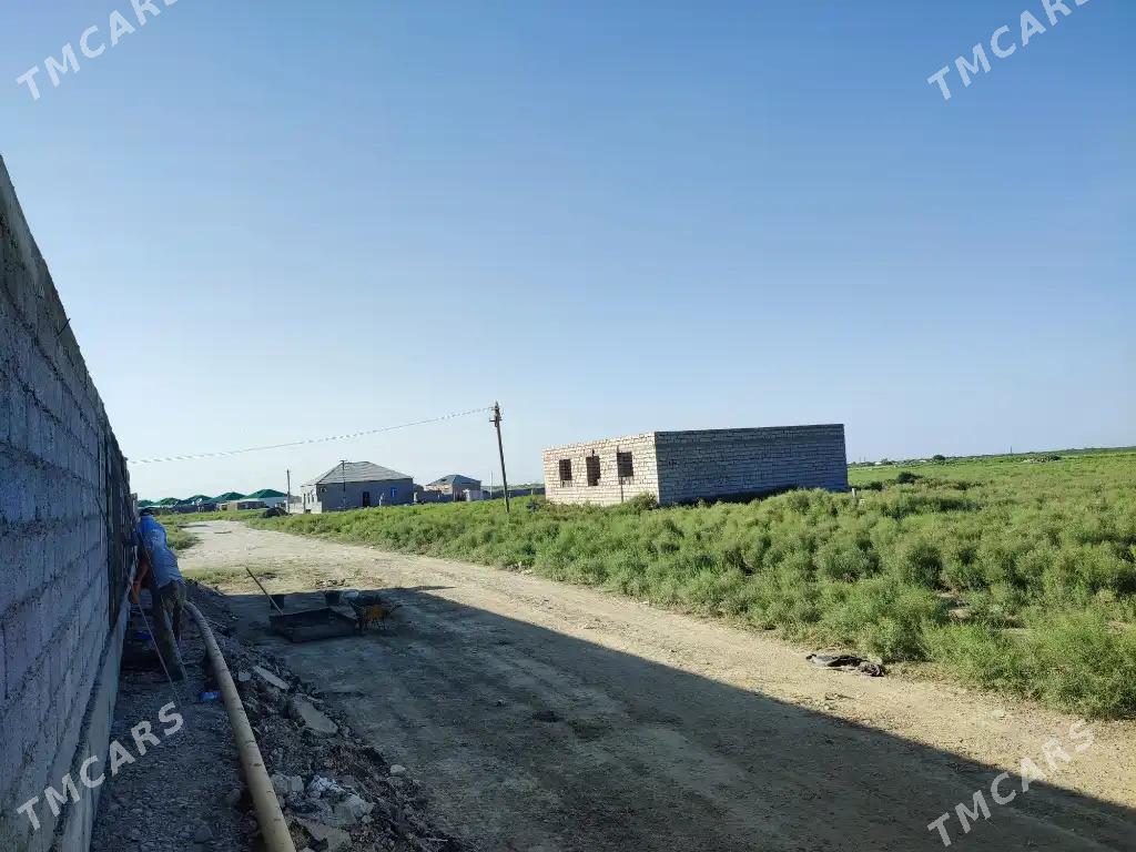 Satlyk mellek ýer jaý budaýly - Ak bugdaý etraby - img 2