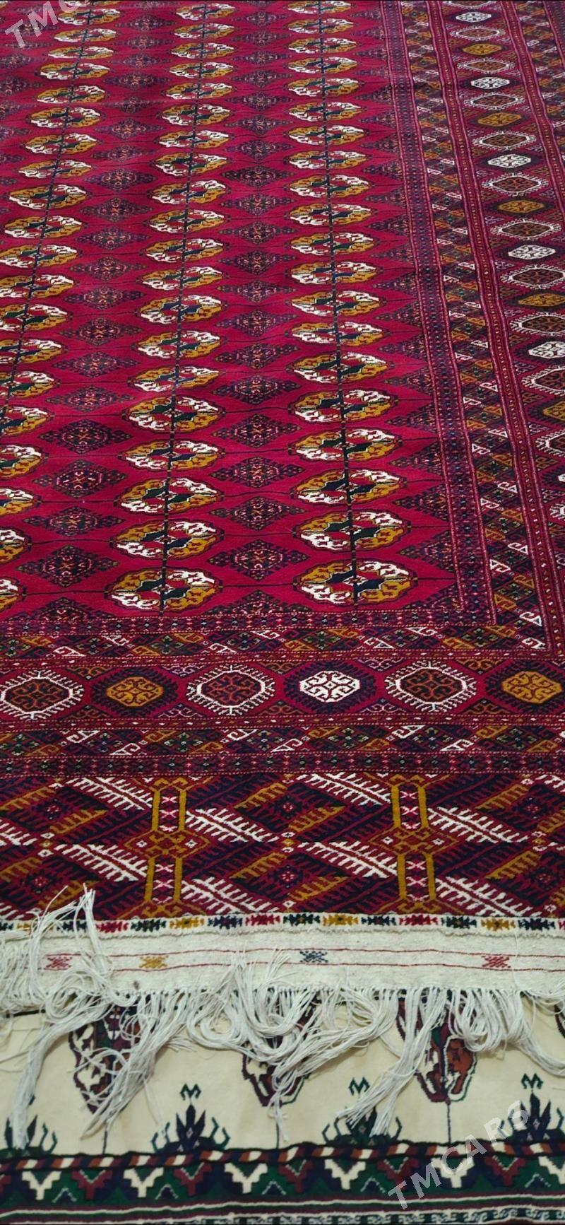 El haly 3.50/4 - Ашхабад - img 1