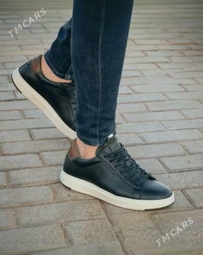 Ambitious Aktif - Köşi - img 4