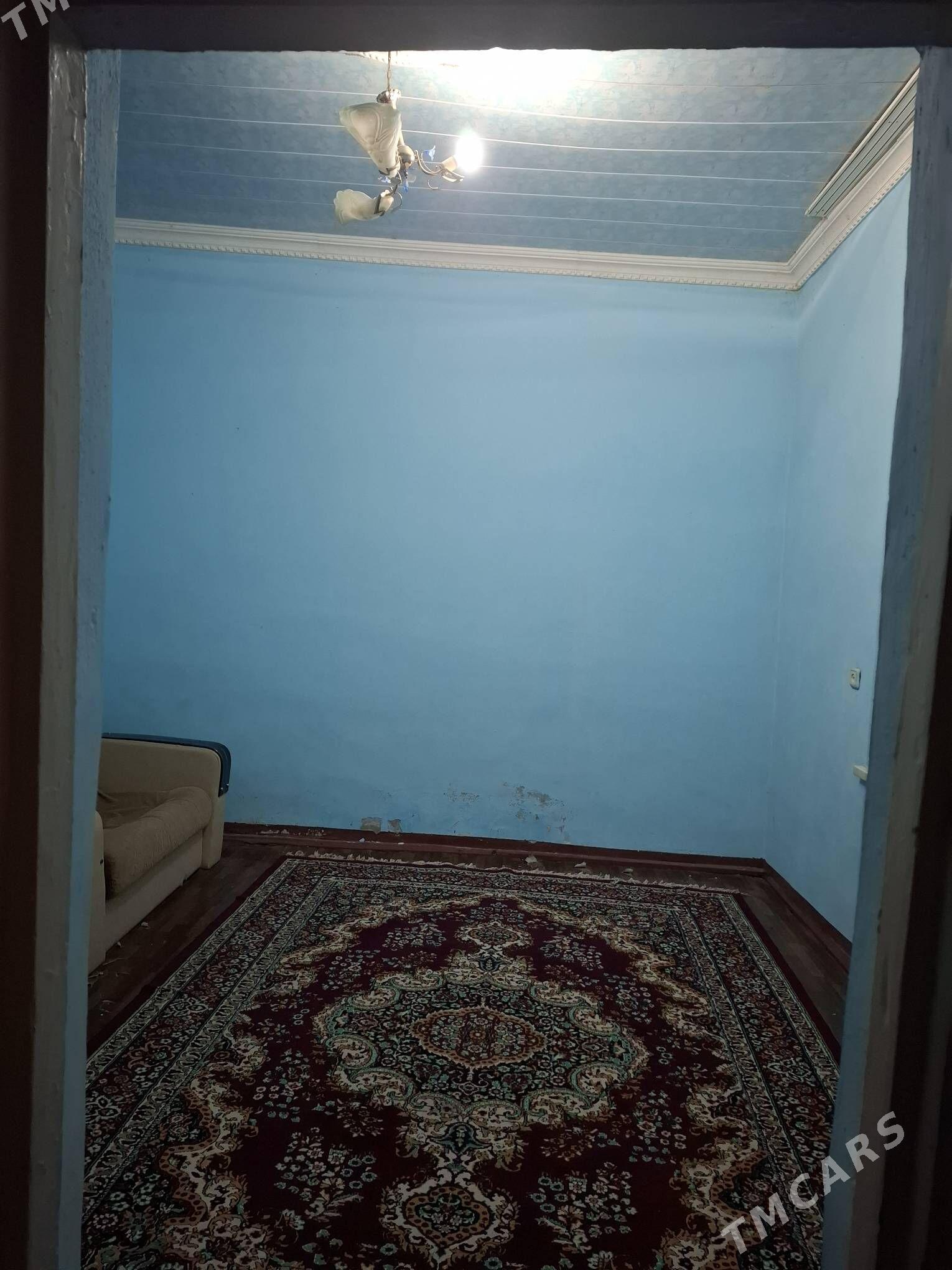 satlyk jay - Кака - img 3