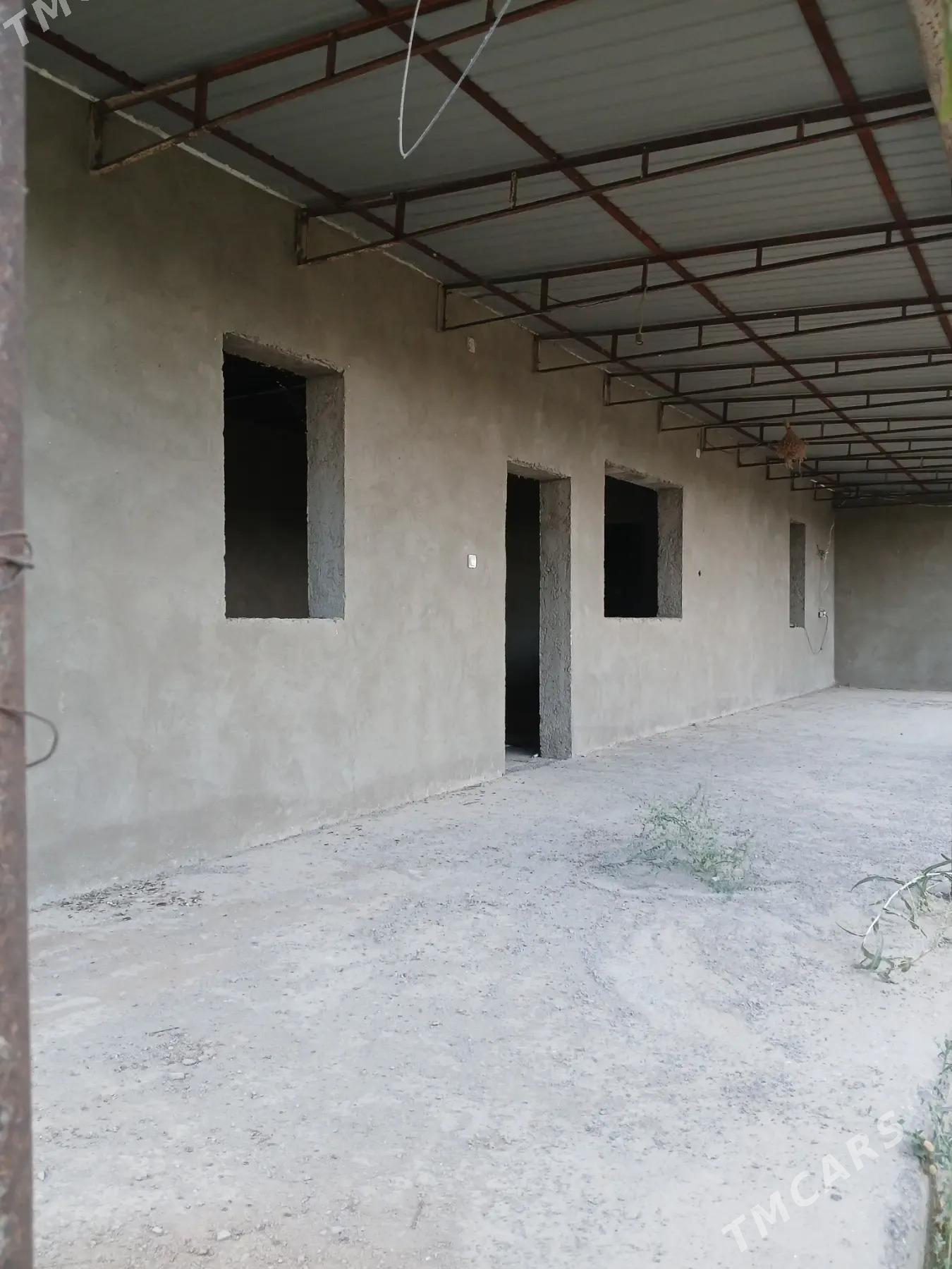 Satlyk howly bagly bakjaly jaý - Кака - img 4