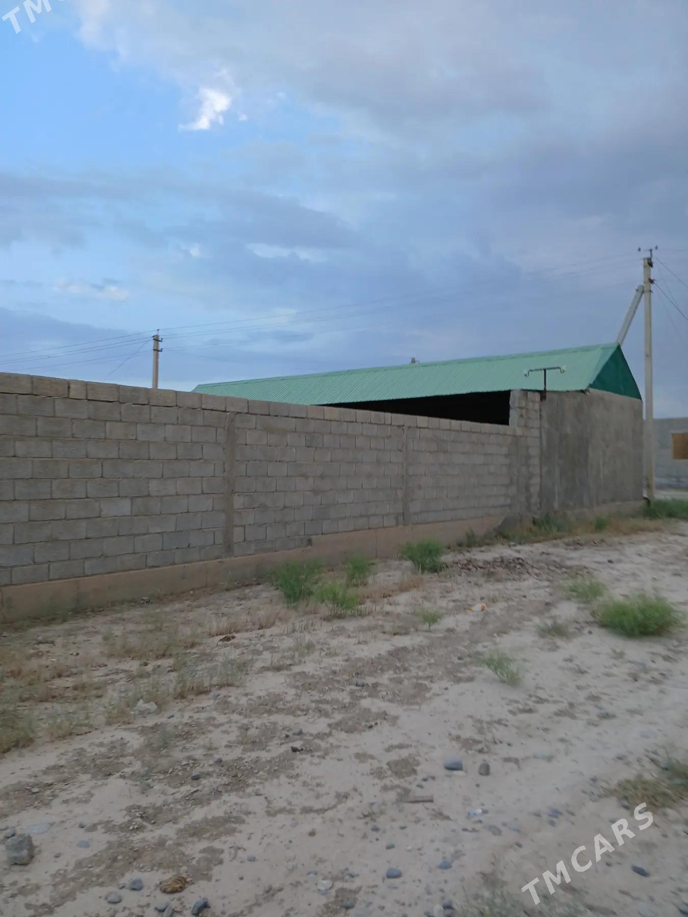 Satlyk howly bagly bakjaly jaý - Кака - img 2