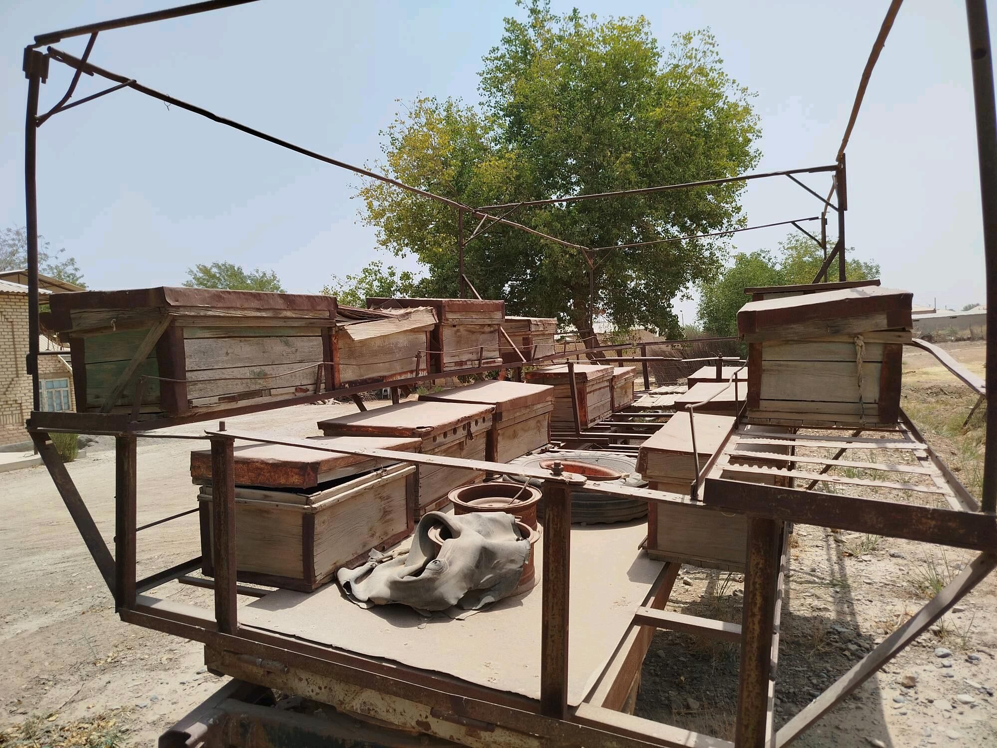 Ary prissep - Babadaýhan - img 1