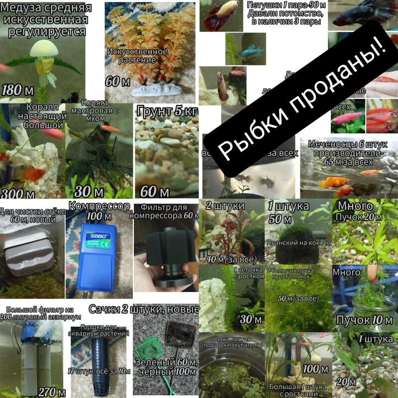 аква.оборудование т.д - Мир 3 - img 3