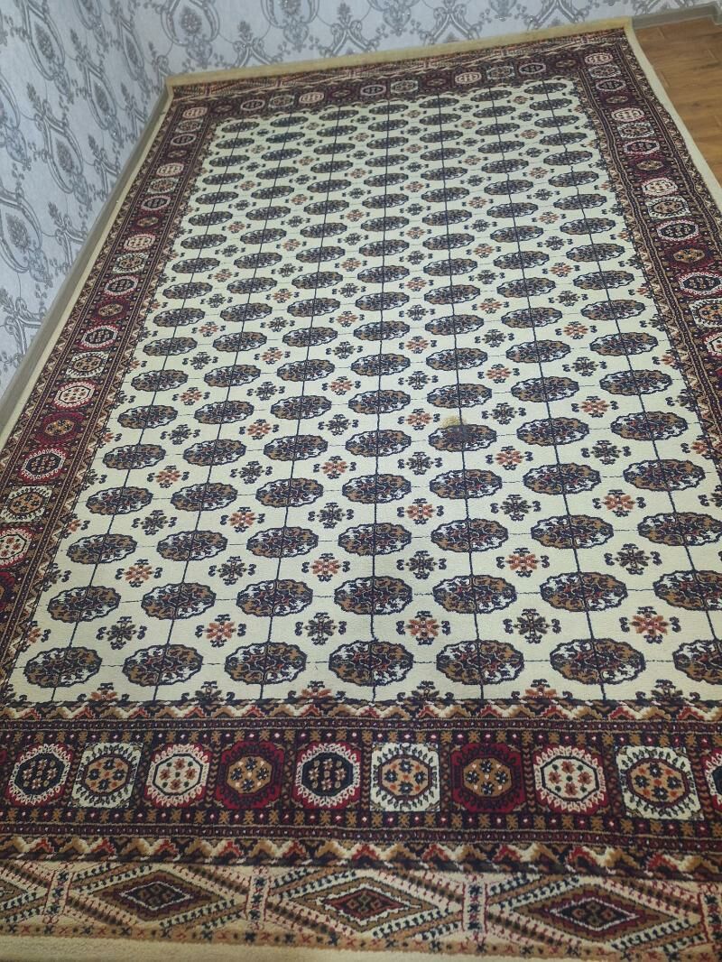 haly - Ашхабад - img 1