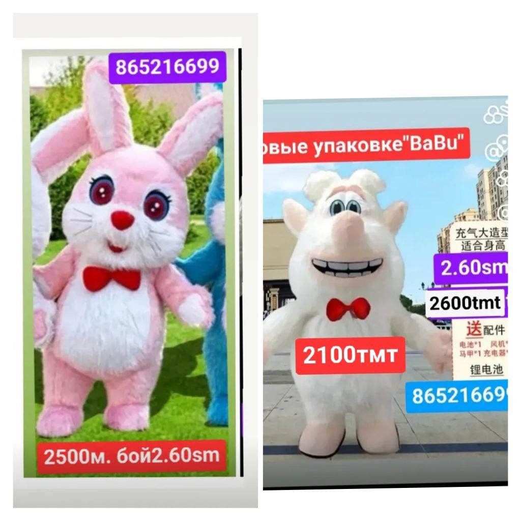 mişka aežbawa зайка товшан - 6 mkr - img 9