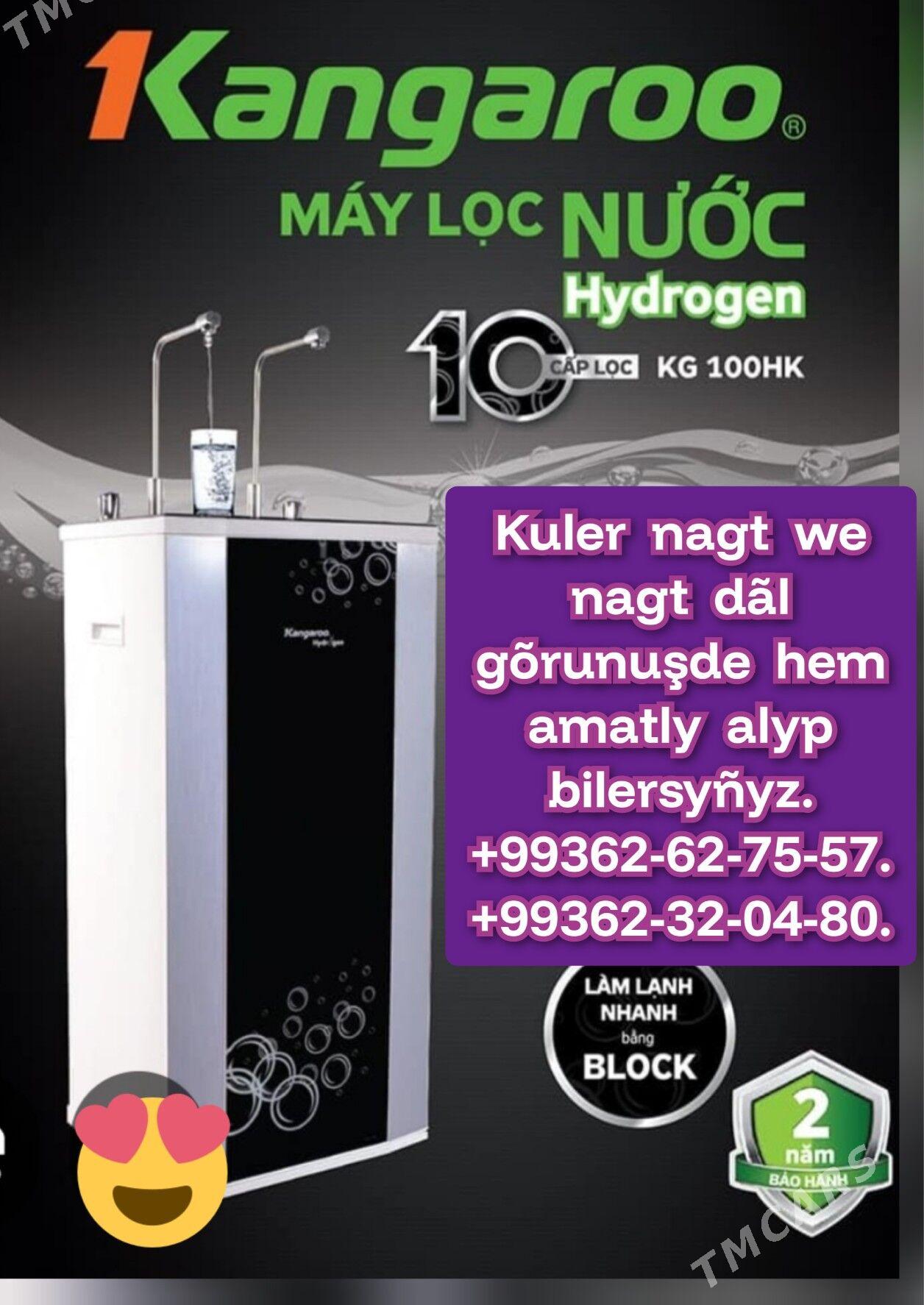 Kangaroo atly suw aparat - Gurbansoltan Eje - img 6