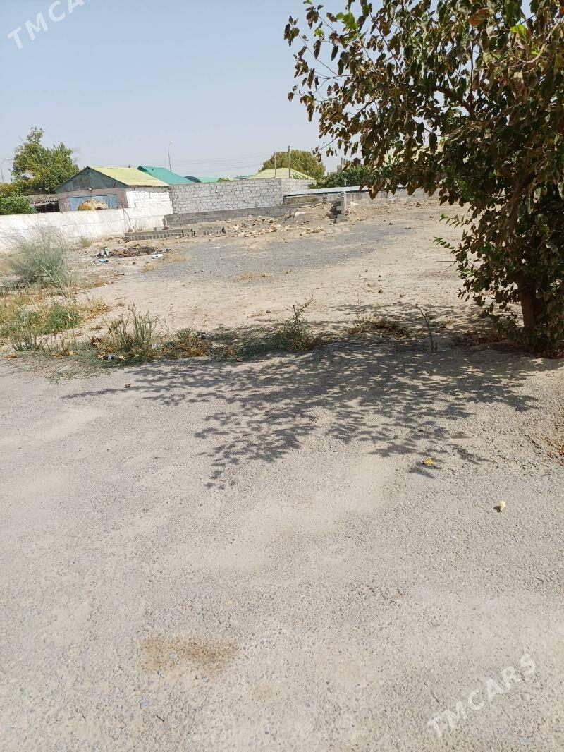 satlyk yer gypjak - Gypjak - img 2