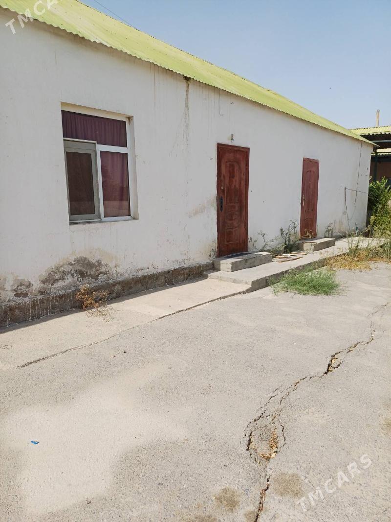 satlyk yer gypjak - Gypjak - img 3