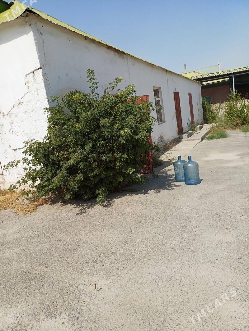 satlyk yer gypjak - Gypjak - img 1