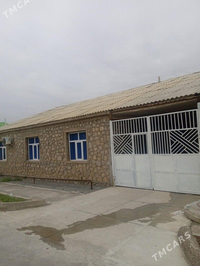 Ÿalkym satlyk jaÿ - Ýalkym - img 1