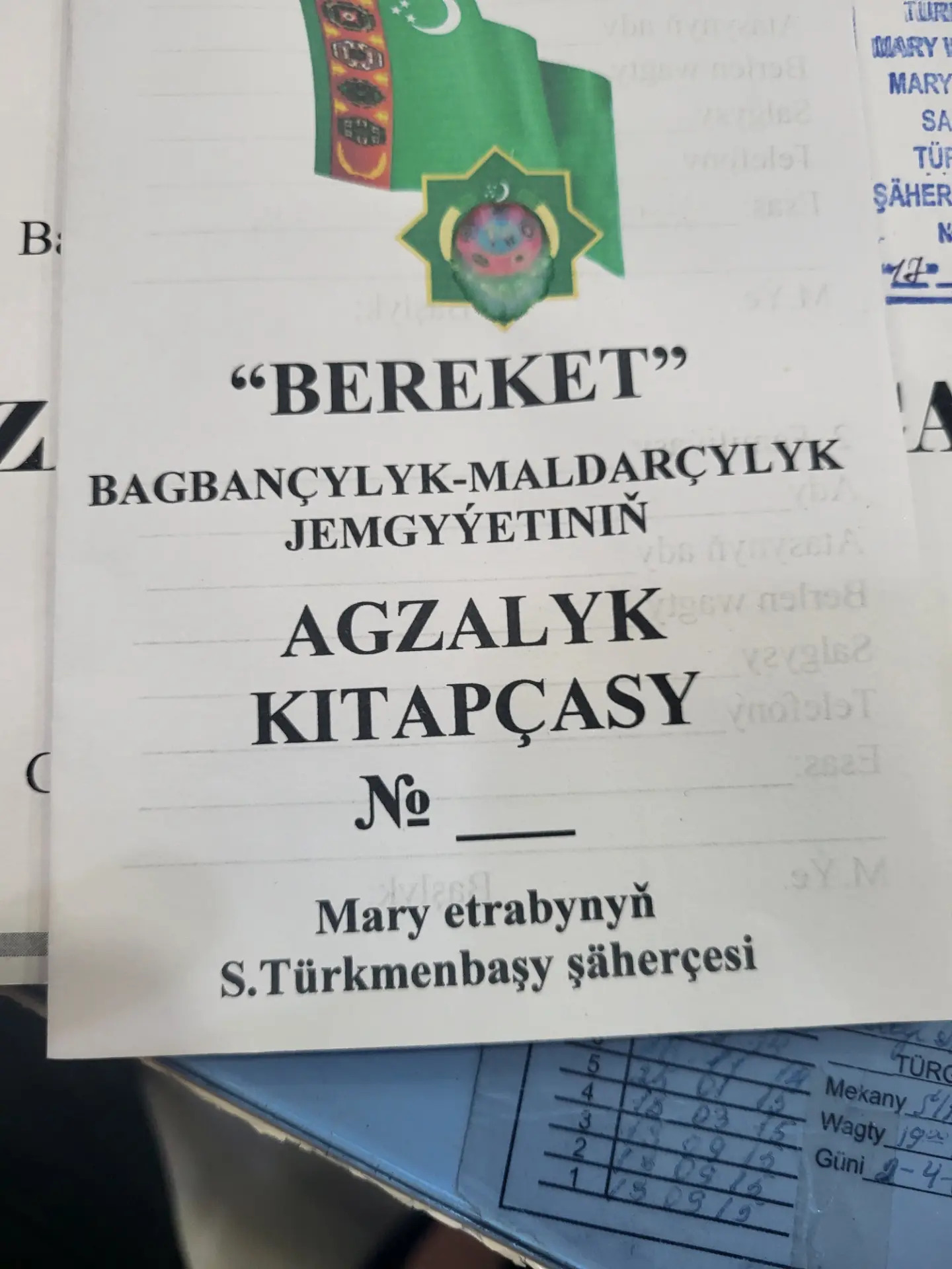 gres satlyk daca - Mary - img 9