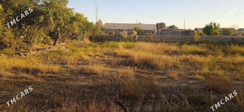 jaý sabat etrab - Şabat etr. - img 3