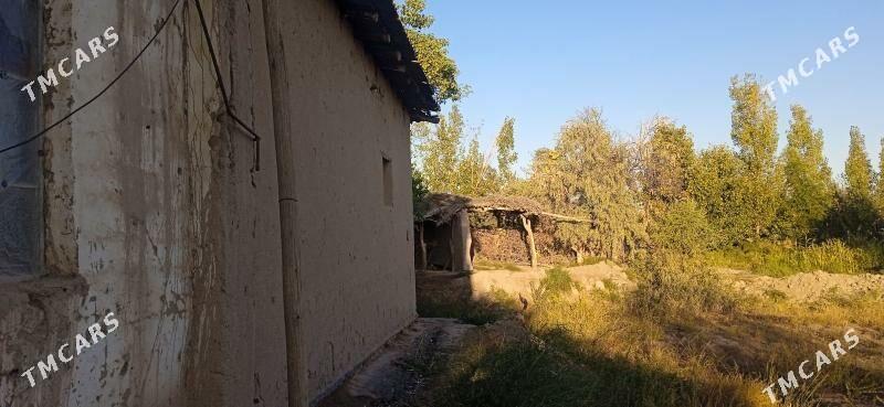 jaý sabat etrab - Şabat etr. - img 4