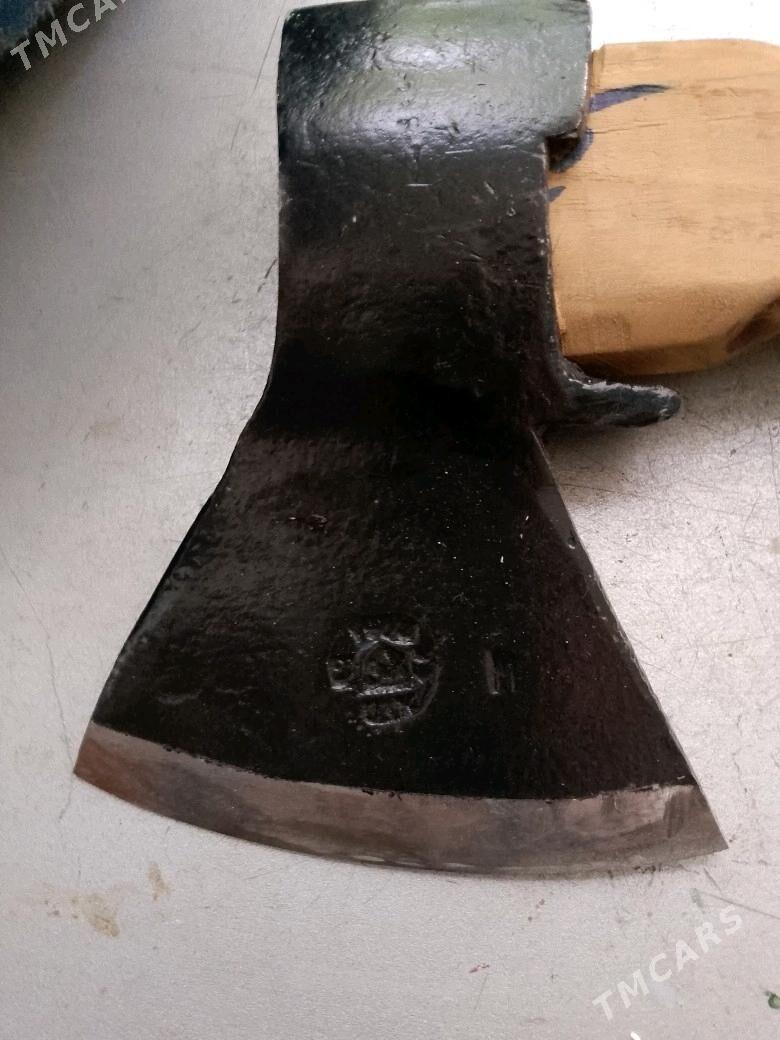 Palta orsuńky - Ашхабад - img 3