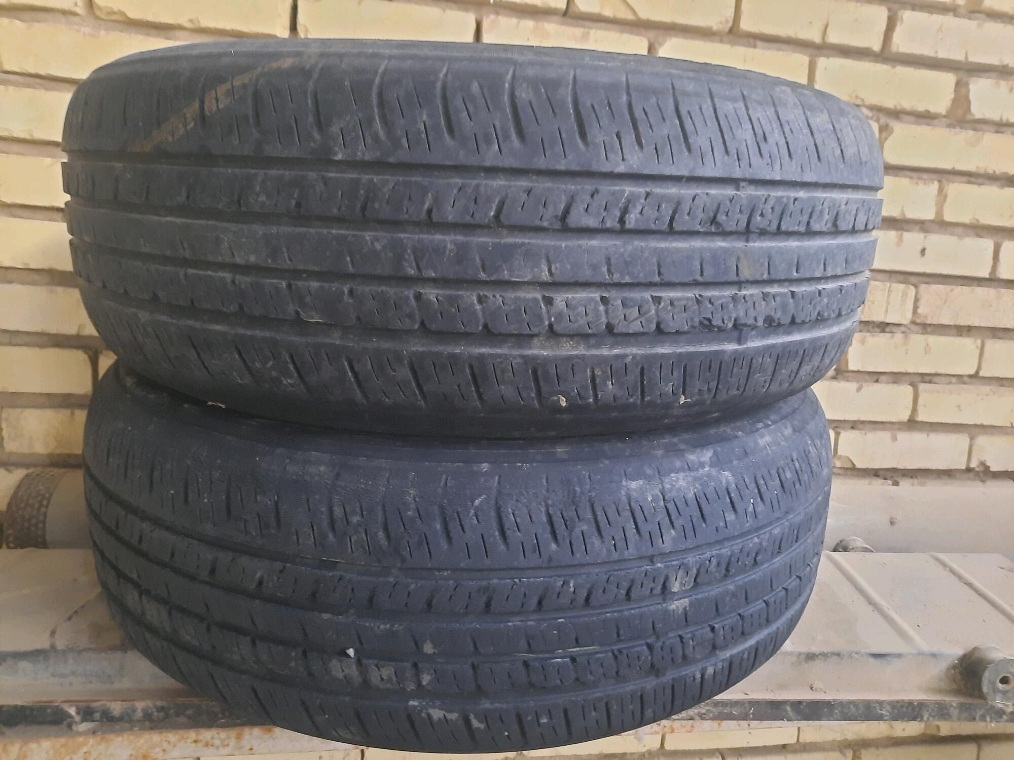 tigir 300 TMT - Sakarçäge - img 1