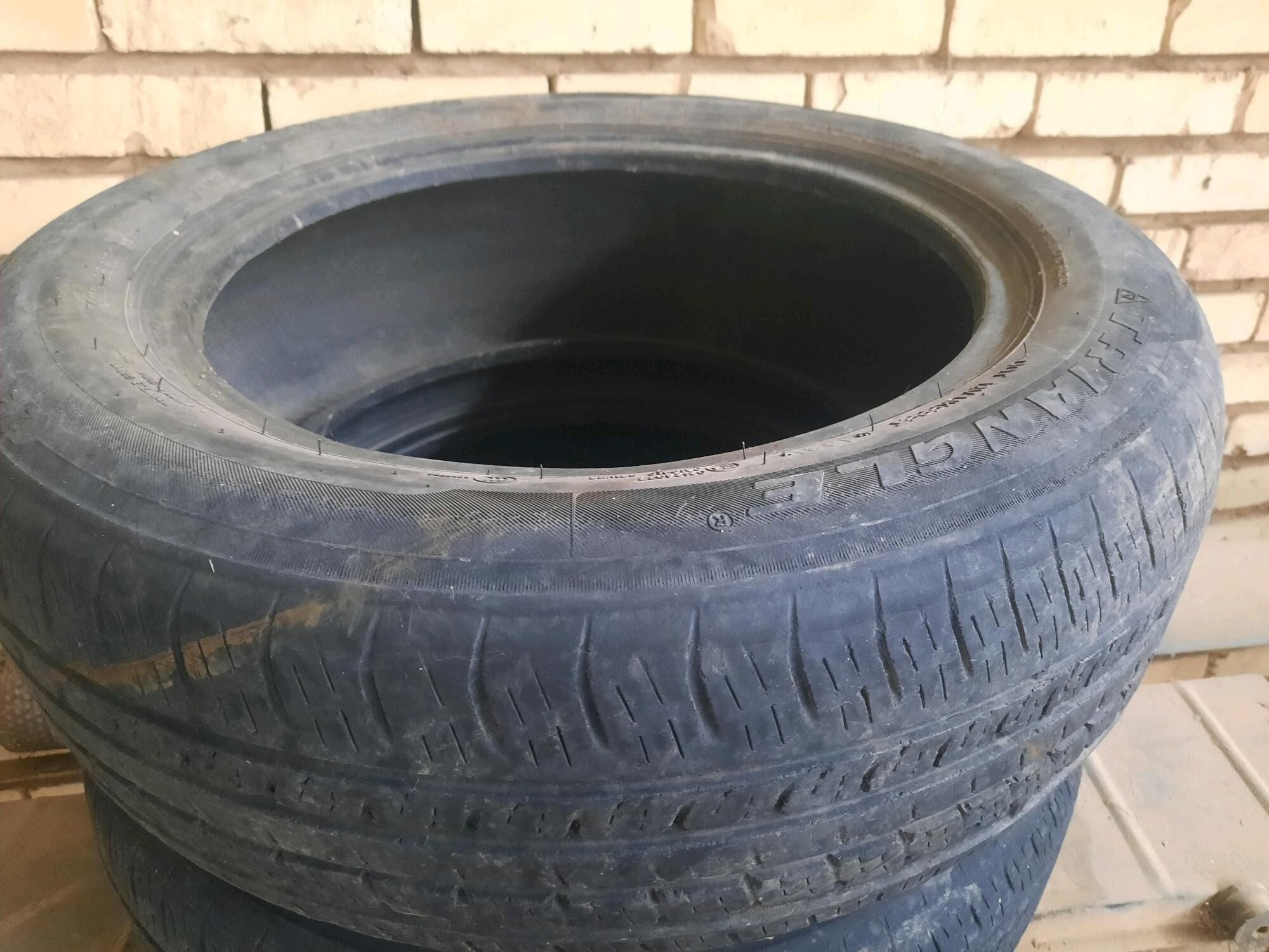 tigir 300 TMT - Sakarçäge - img 2