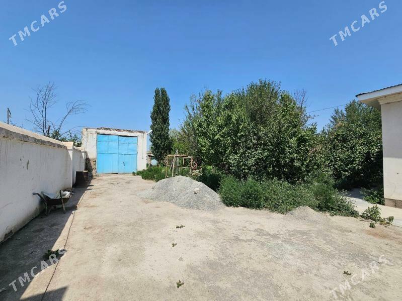 Satlyk Jay - Кёнеургенч - img 9