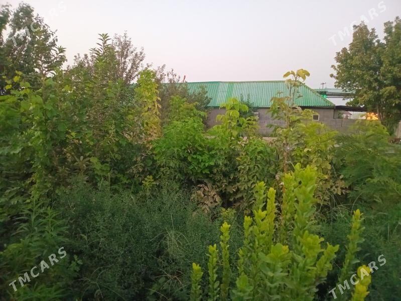 Gül bag - Ашхабад - img 2