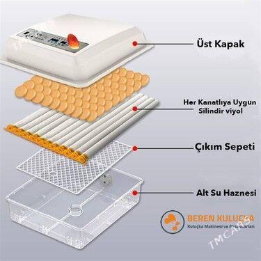 inkubator kuluçka makina - Туркменабат - img 2
