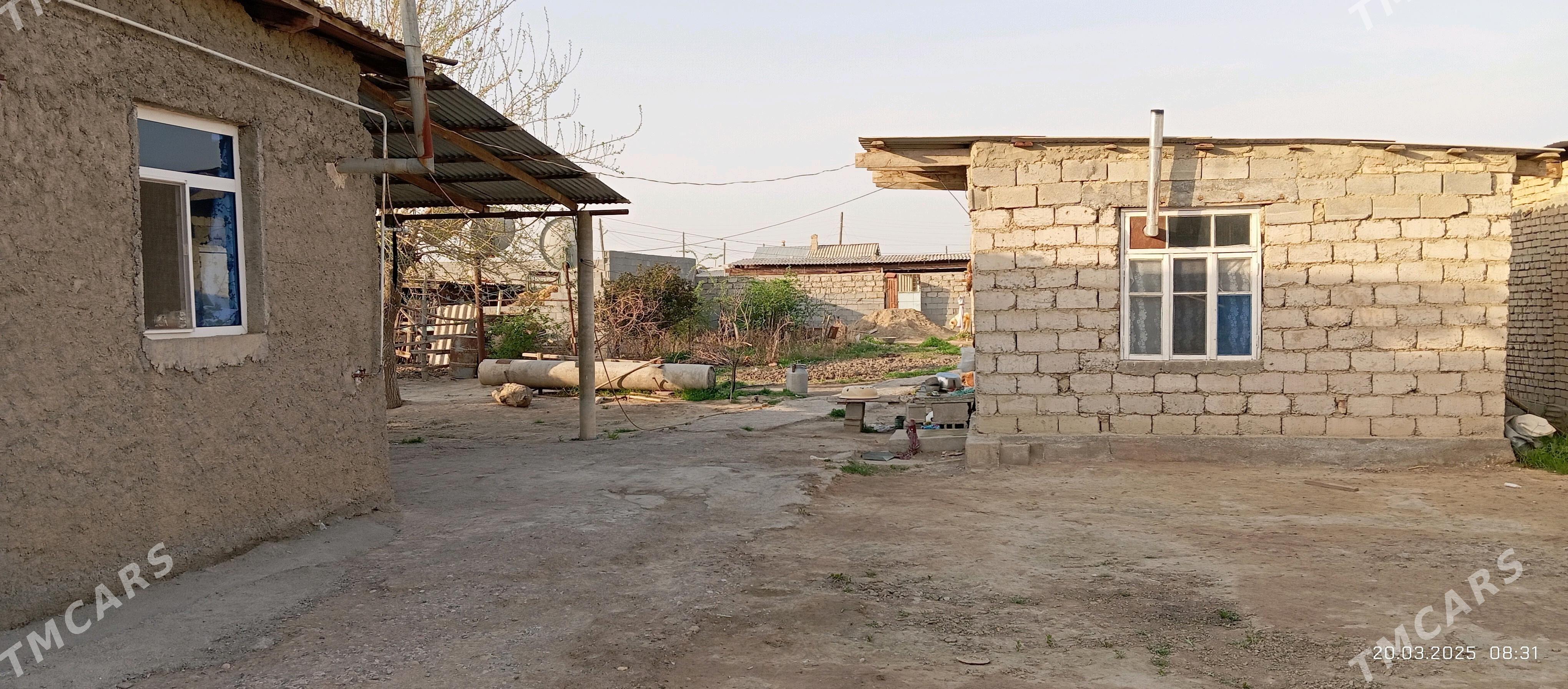 Jay - Ak bugdaý etraby - img 3