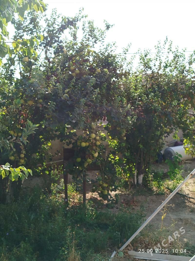 jay - Туркменбаши - img 5