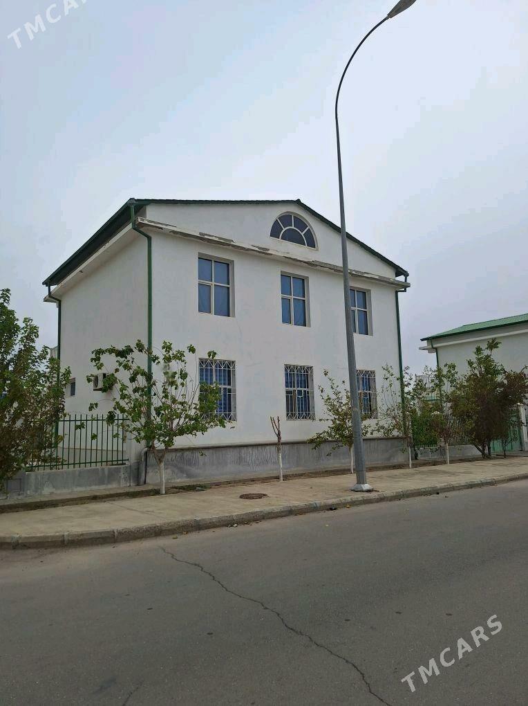 TAZE ZAMAN 1 Tapgyr Eyesi ozim - Täze zaman - img 2