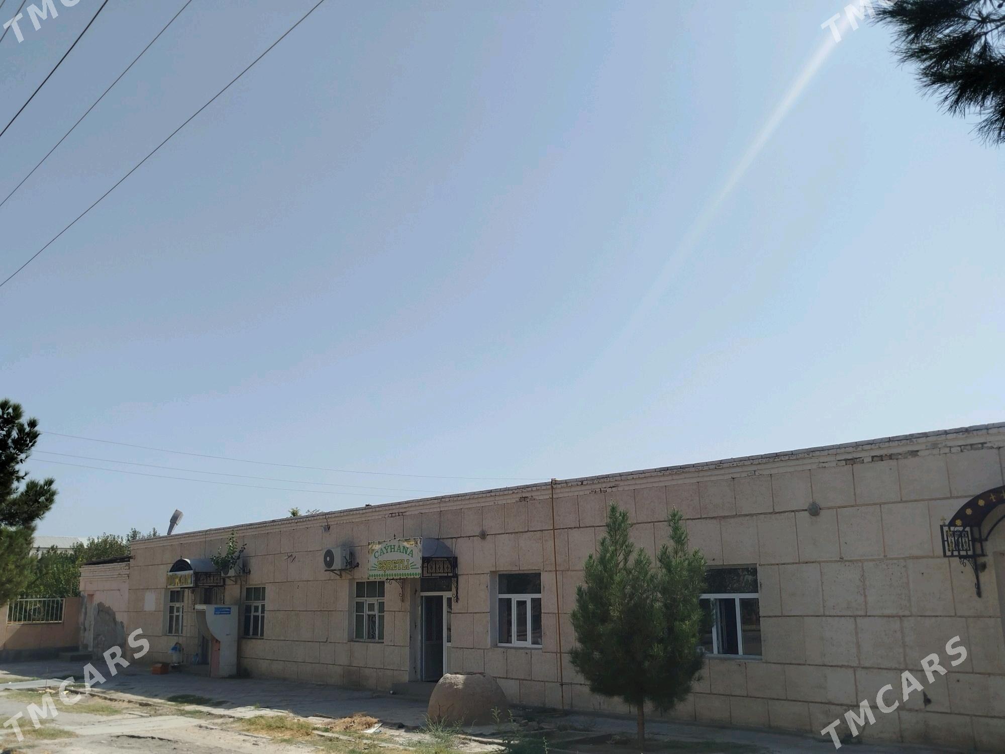 arenda ( аренда ) химик мкр - Туркменабат - img 2