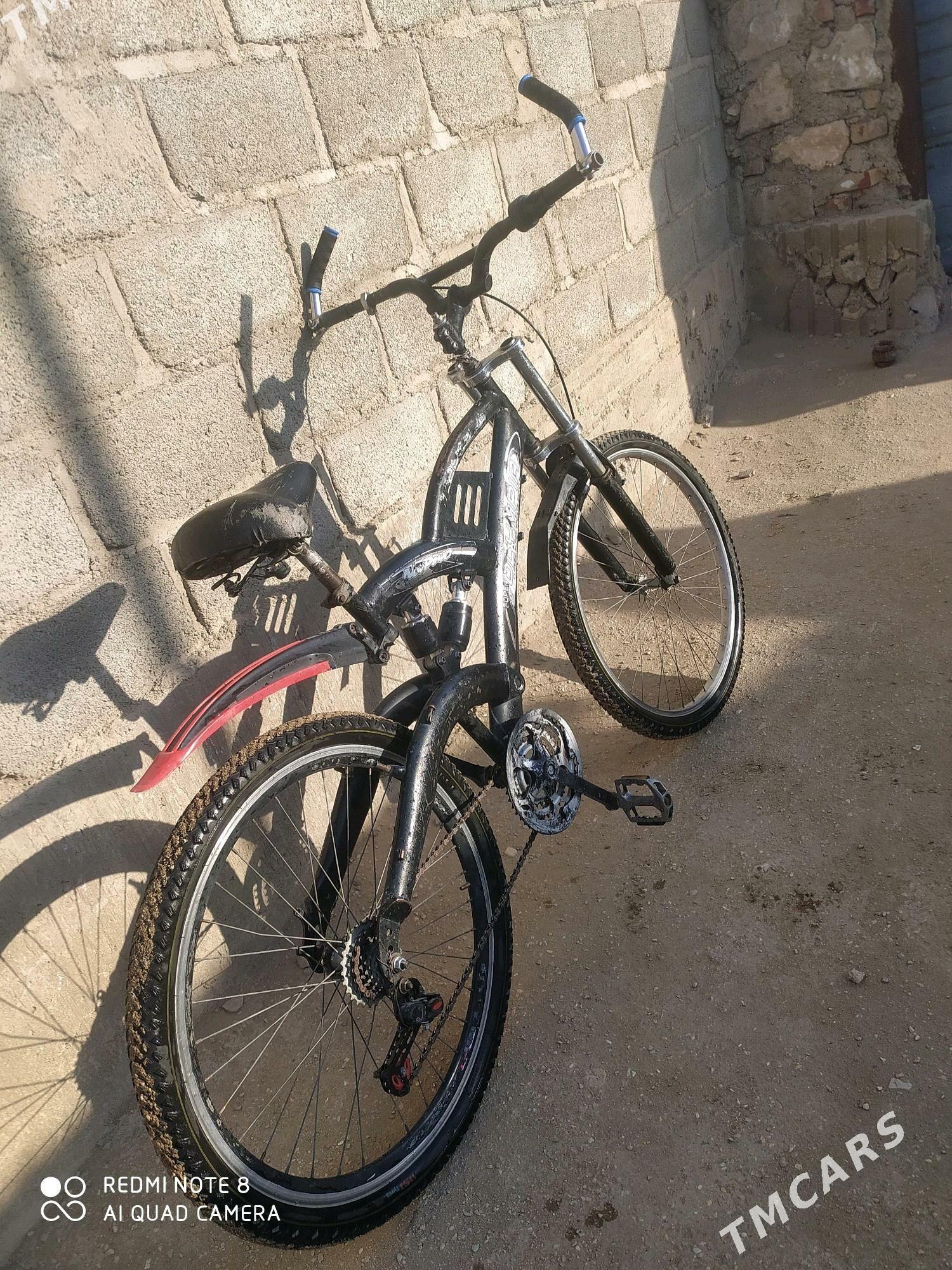 welik - Гумдаг - img 2