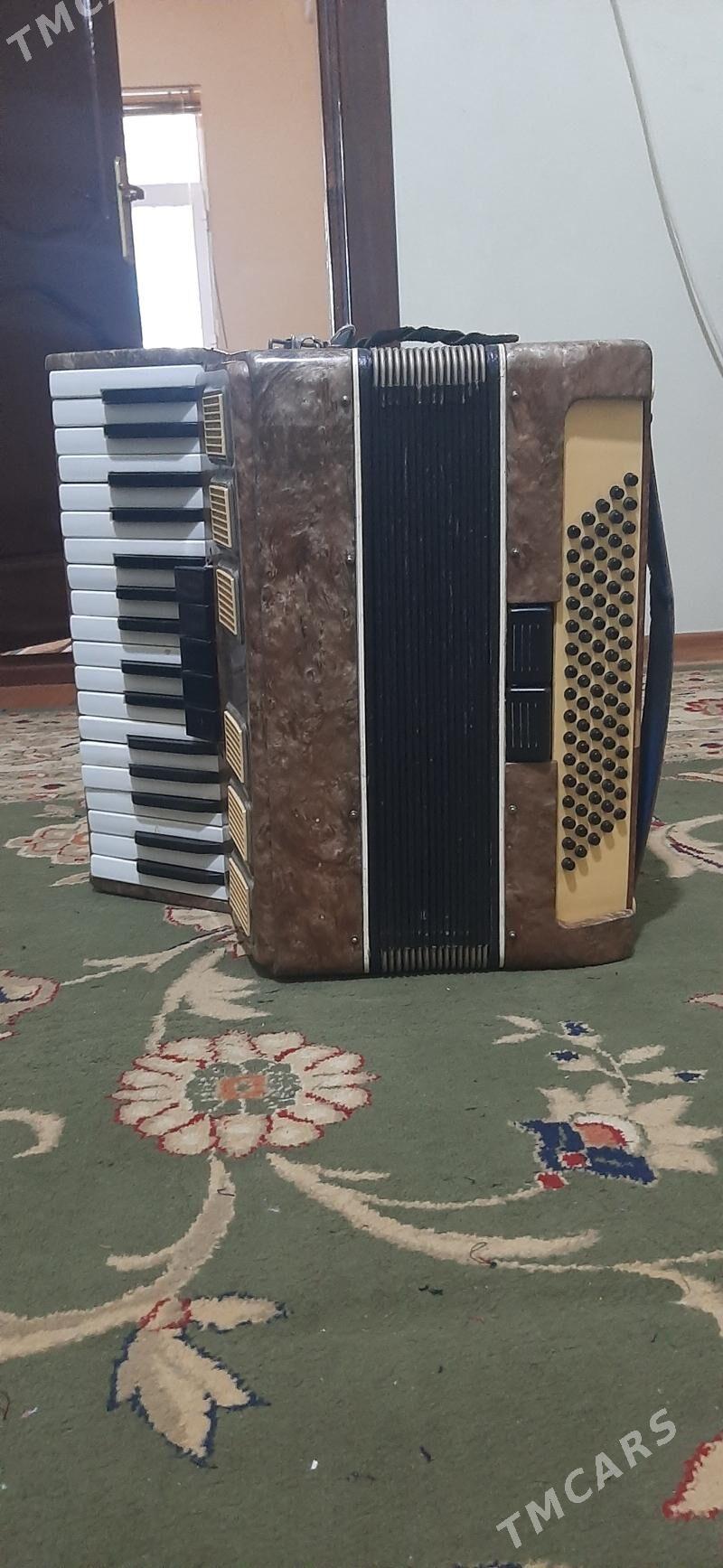 Akardýon saz guraly - Gökdepe - img 2
