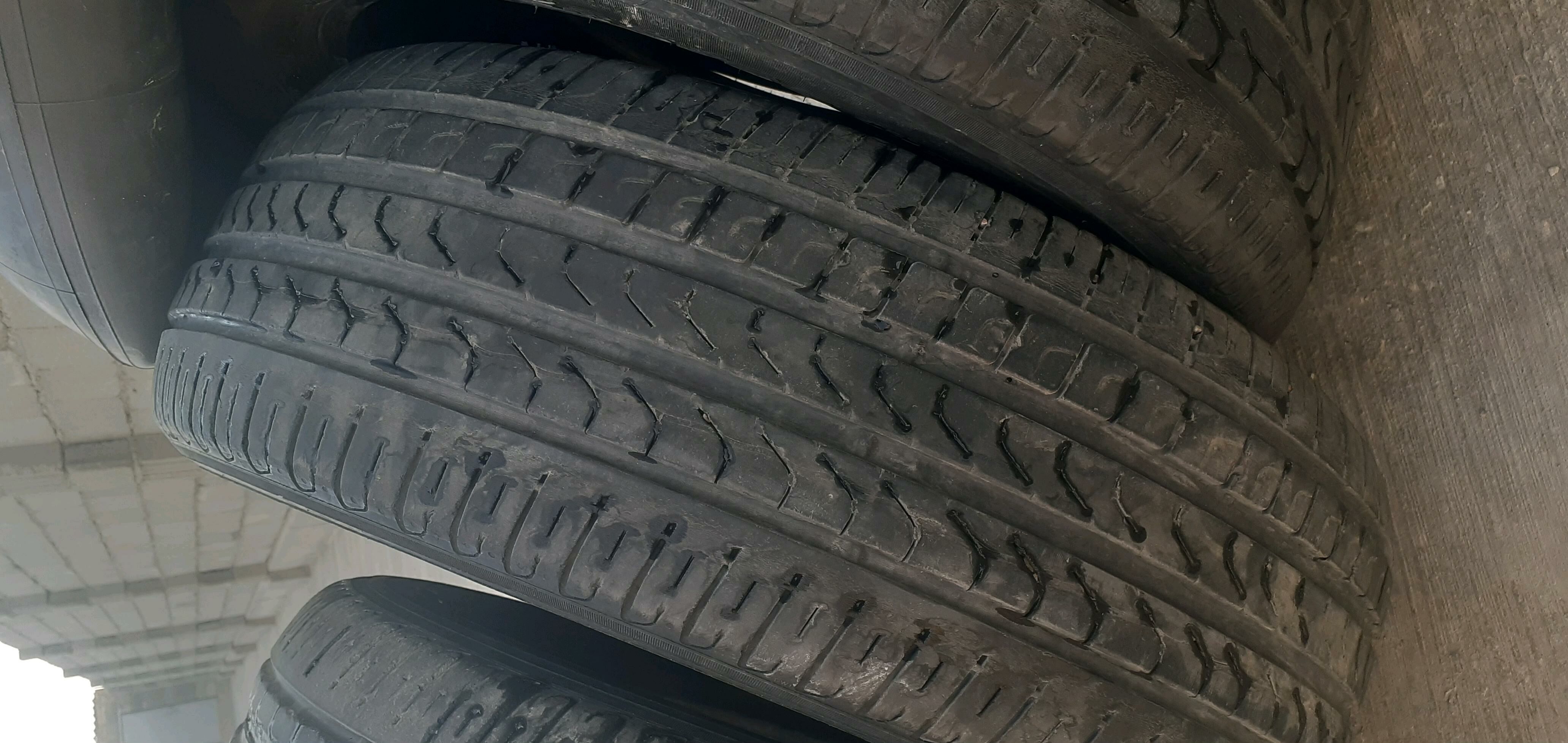 тигир 300 TMT - Daşoguz - img 1