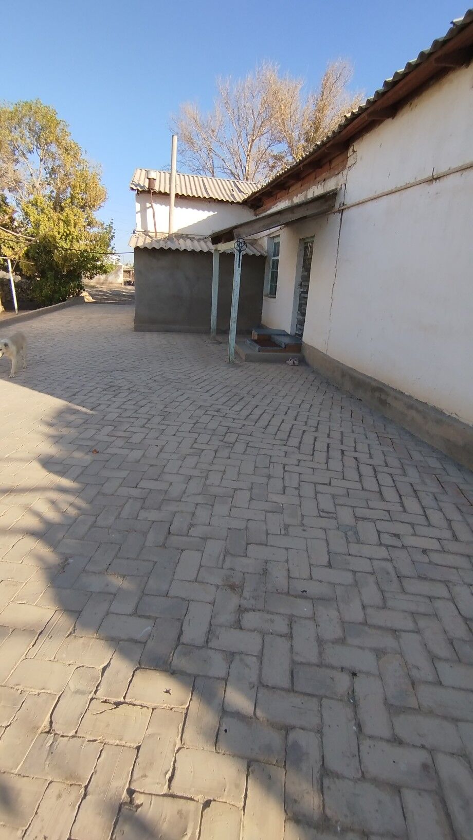 Квартира на земле - Байрамали - img 5