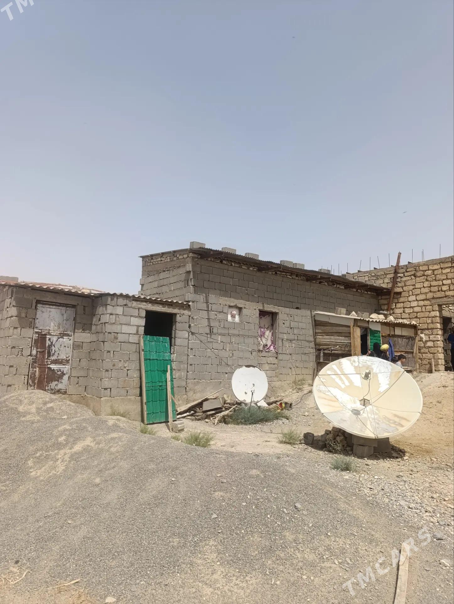 Satlyk jaÿ - Gyzylarbat - img 2