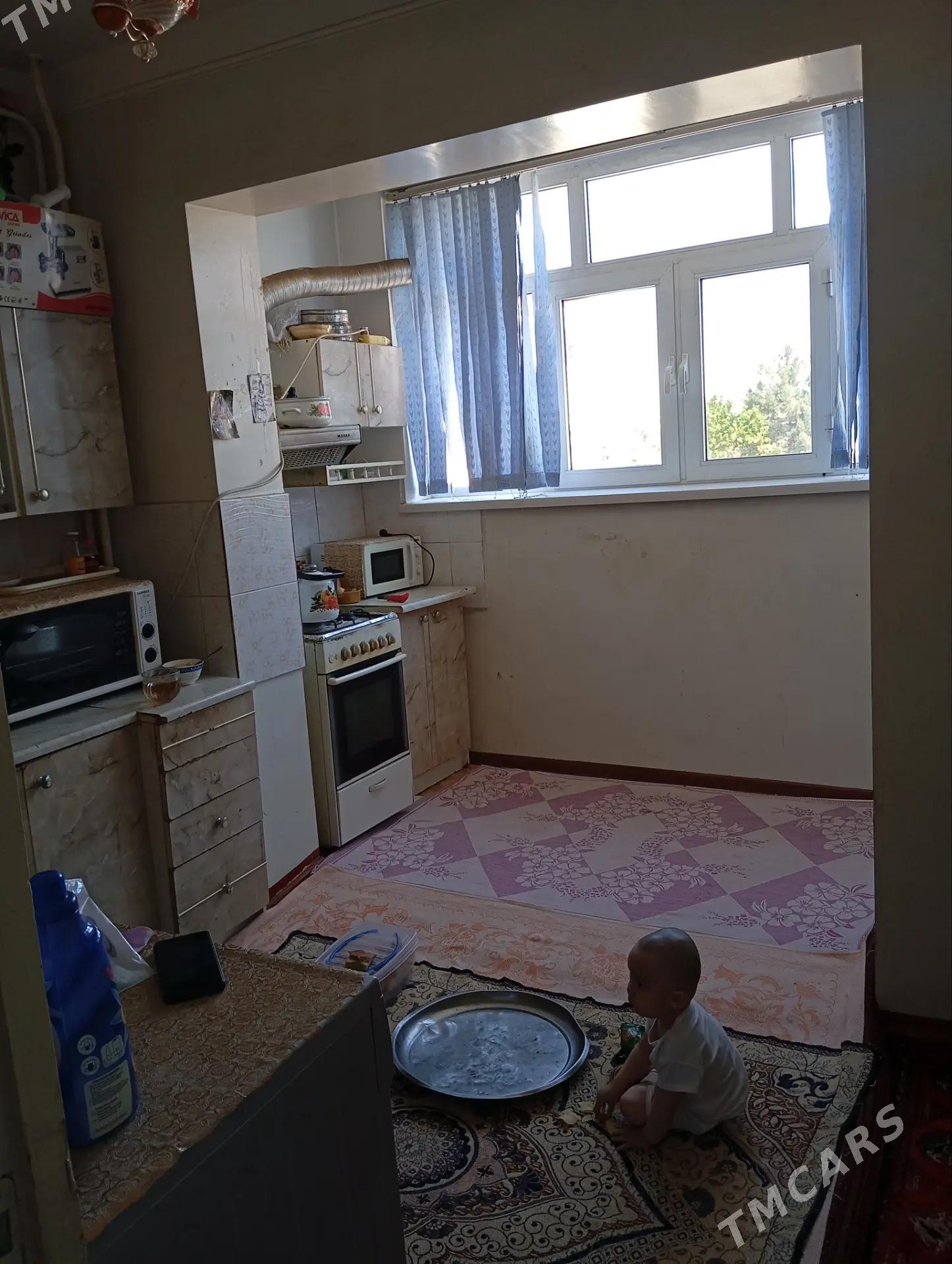 satlyk jaylar - Şatlyk - img 7