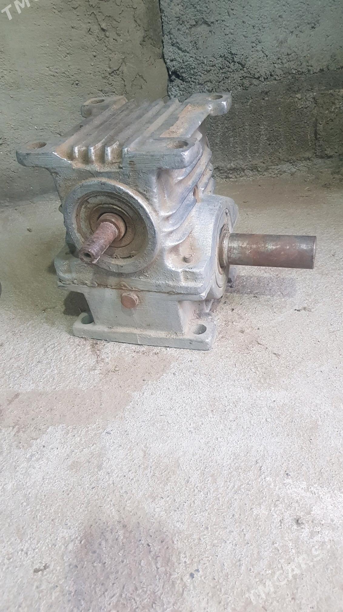 radukter - Herrikgala - img 2