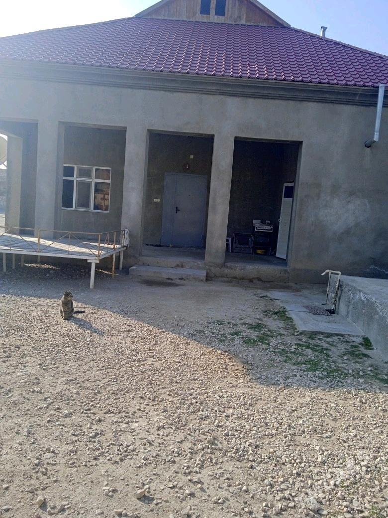 planovoy jay - Balkanabat - img 2