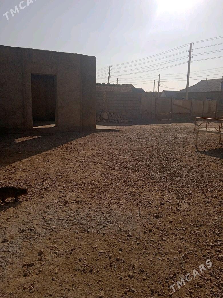 planovoy jay - Balkanabat - img 3