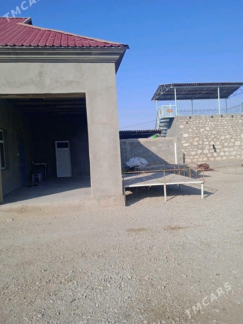 planovoy jay - Balkanabat - img 5