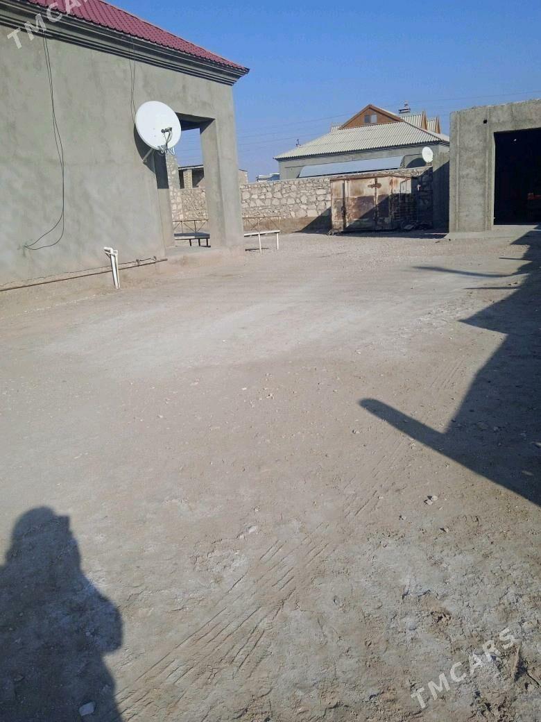 planovoy jay - Balkanabat - img 4