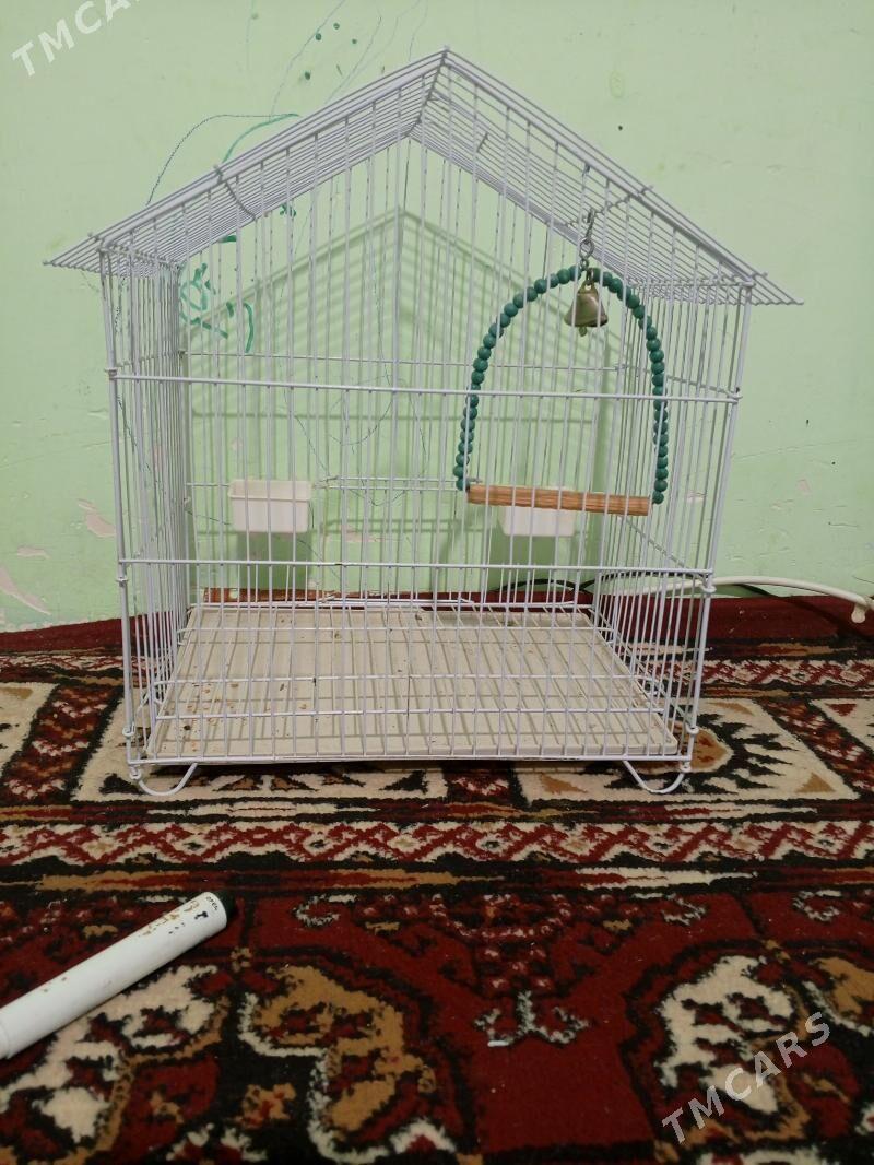 guş keten kapasa - Aşgabat - img 4