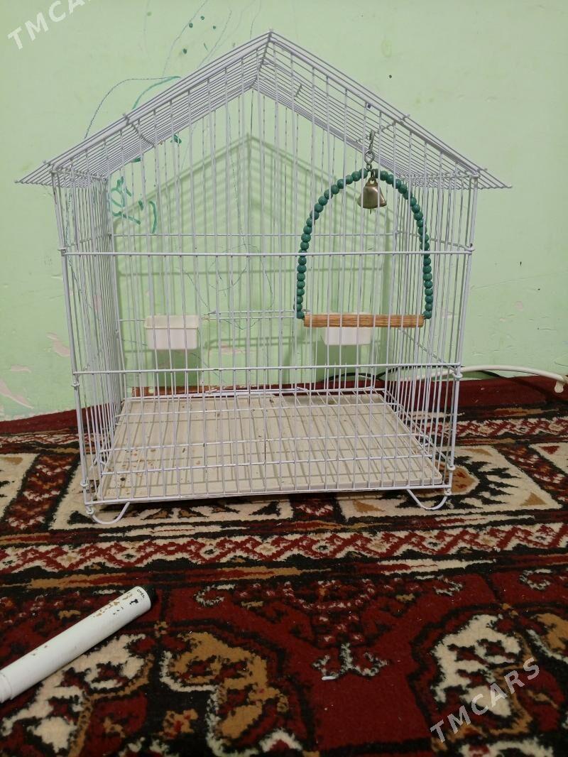 guş keten kapasa - Aşgabat - img 3