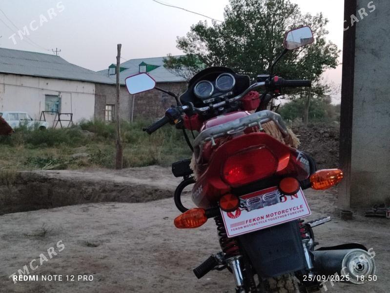 Fekon FK200-14G 2025 - 16 000 TMT - Койтендаг - img 2