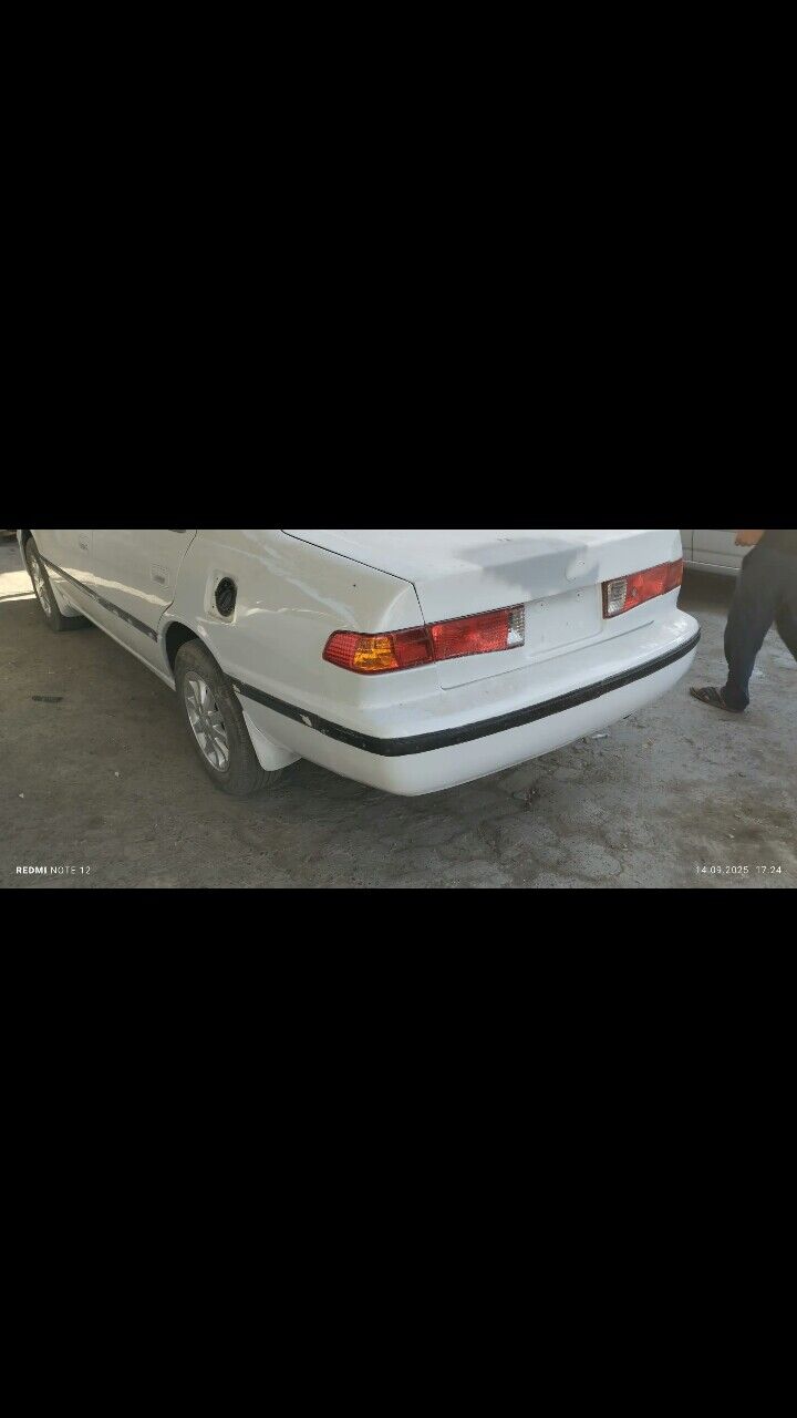 Babocka kemer( moldi 500 TMT - Мары - img 5