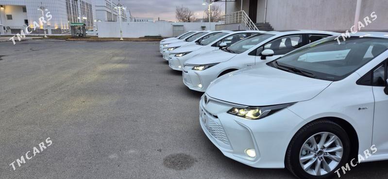 Toyota Corolla Hybrid 2025 - 360 000 TMT - Ашхабад - img 5