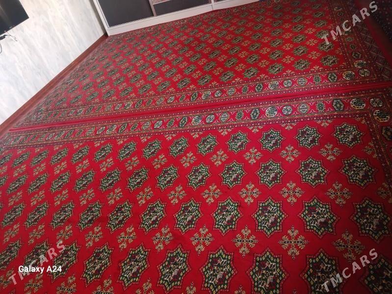 Haly - Gumdag - img 3